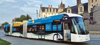 2019 10 Tribus kl