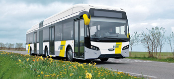 2019 10 Naumann kl