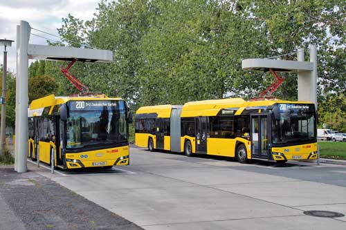2019 10 Tribus