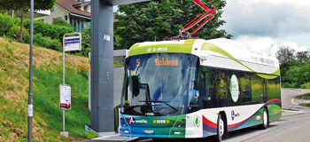 2019 10 Tribus kl