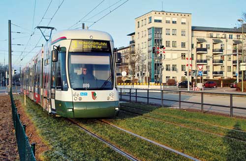 2019 10 Tribus