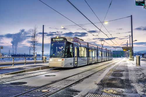 2019 10 Tribus