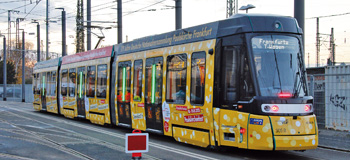 2019 10 Tribus kl
