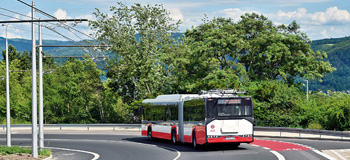 2025 01 Naumann kl